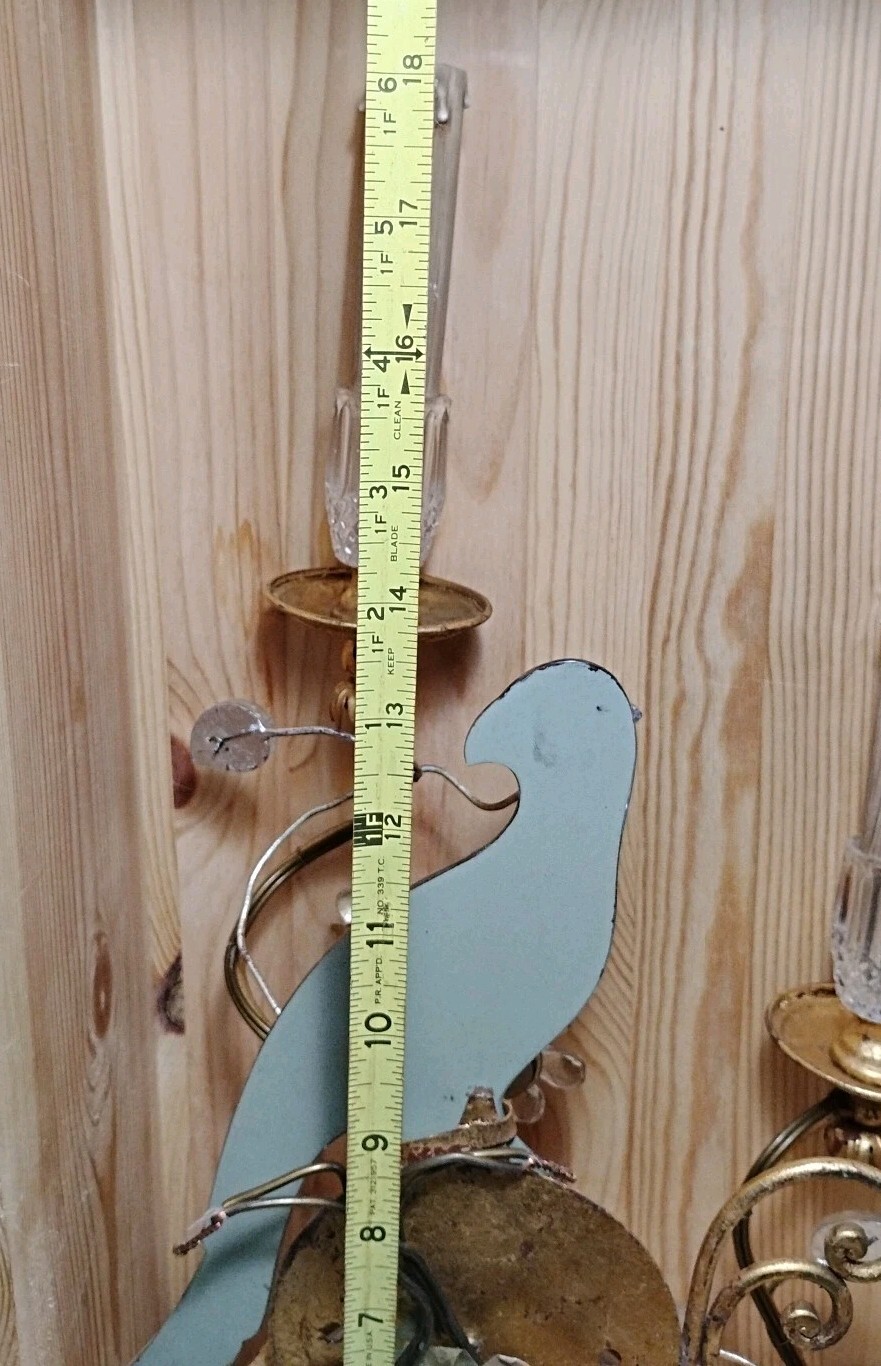 1 Antique Maison Bagues French Crystal Glass Parrot Bird Wall Sconce