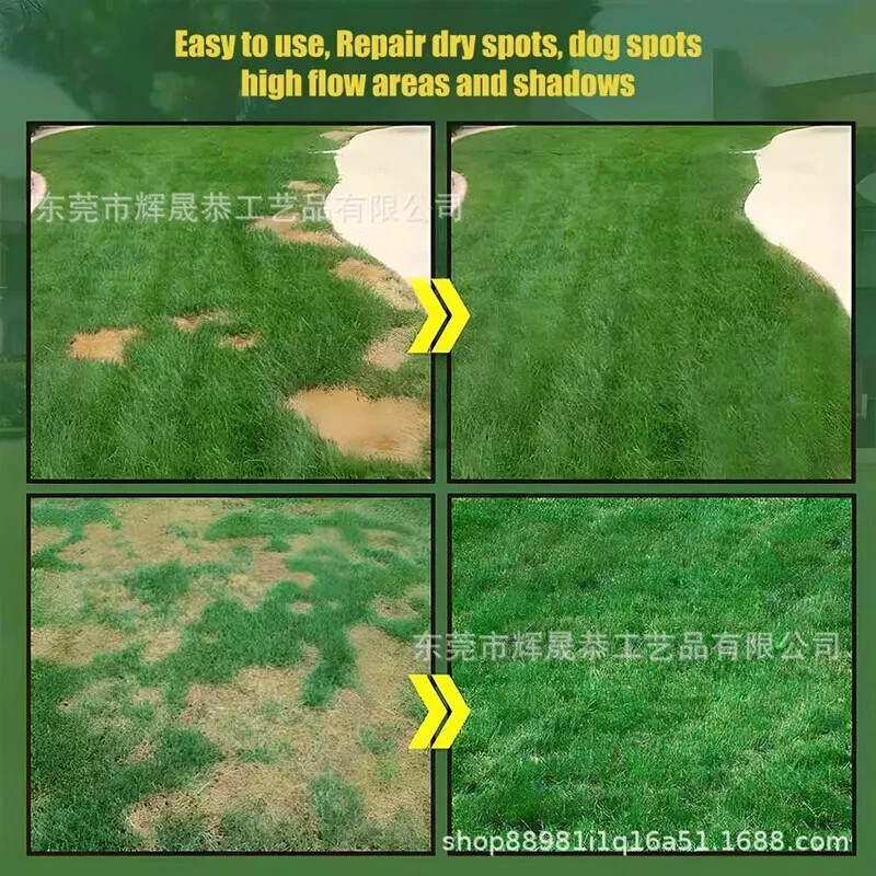 2026 Evergreen Dwarf Grass Seed Garden Grass Seed Growth-Grass Seeds/Lawn Seeds