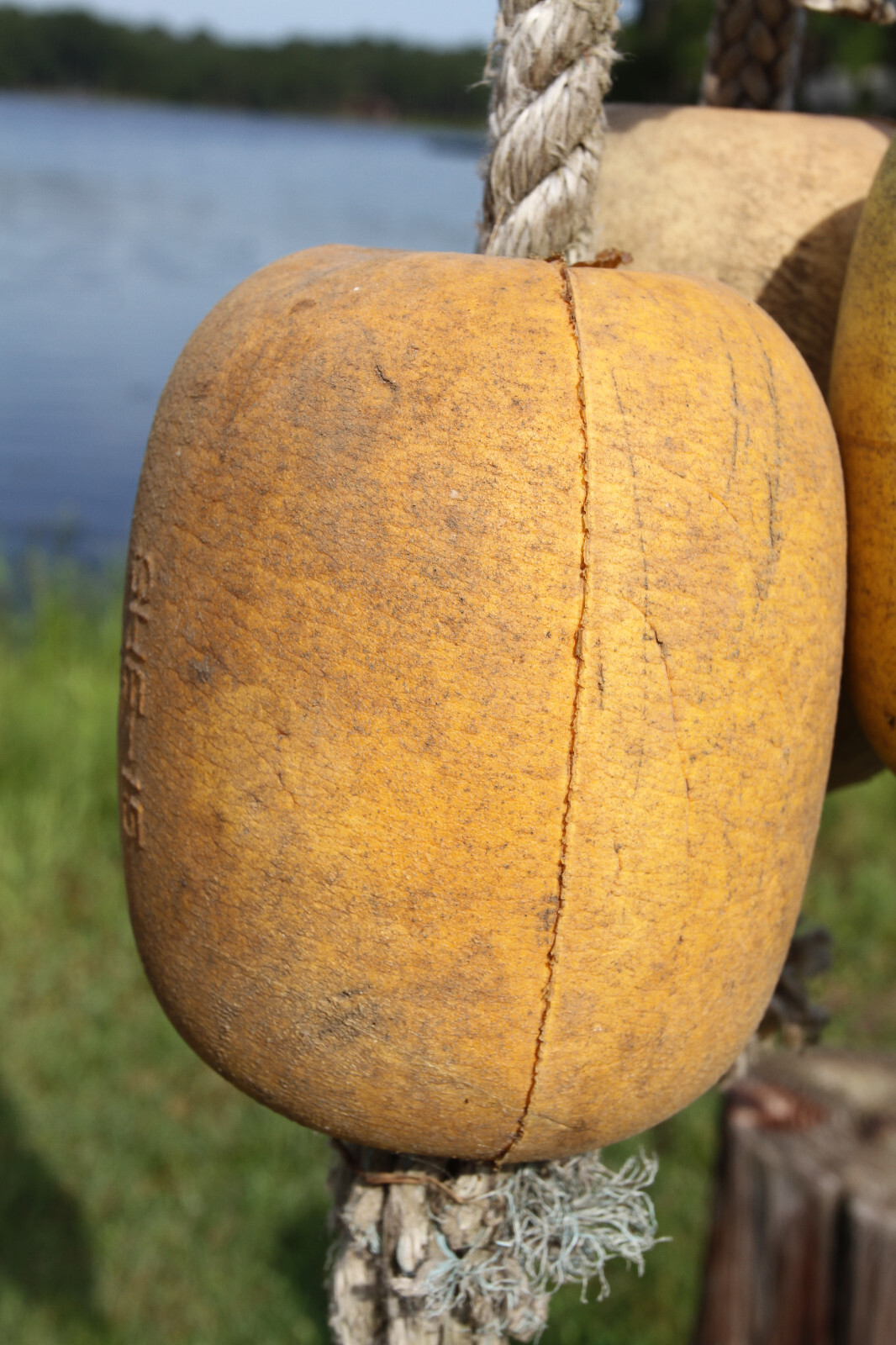 6pc COASTAL DECOR, Resaurant Wall Decor, Single Floats, Shrimp Decor, LTS - 22