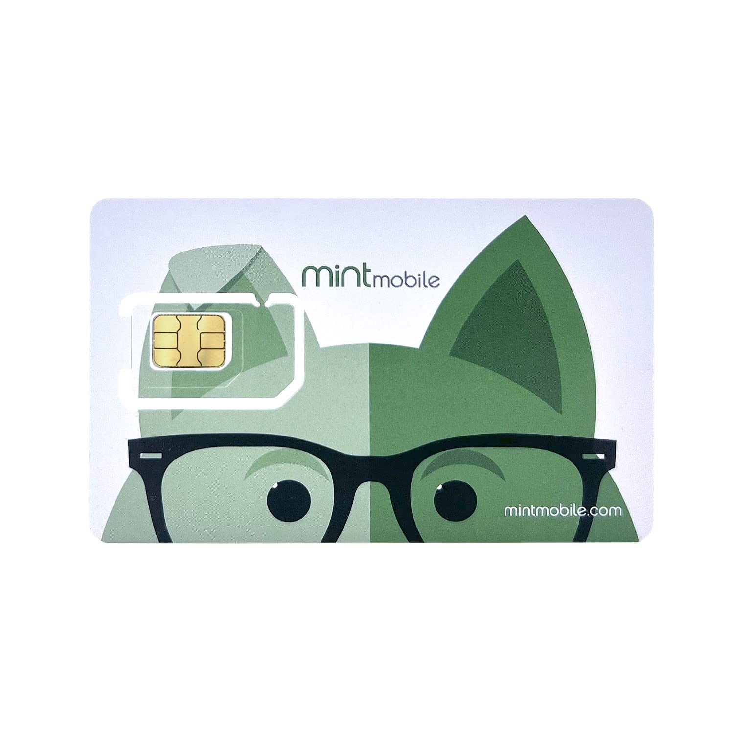 $15/Month Mint Mobile Phone Plan | 4GB of 5G • 4G LTE Data + Unlimited Talk & Te