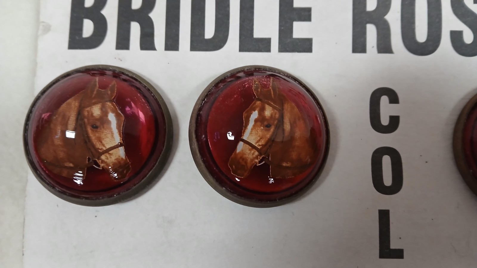 Horse Head Bridle Rosette