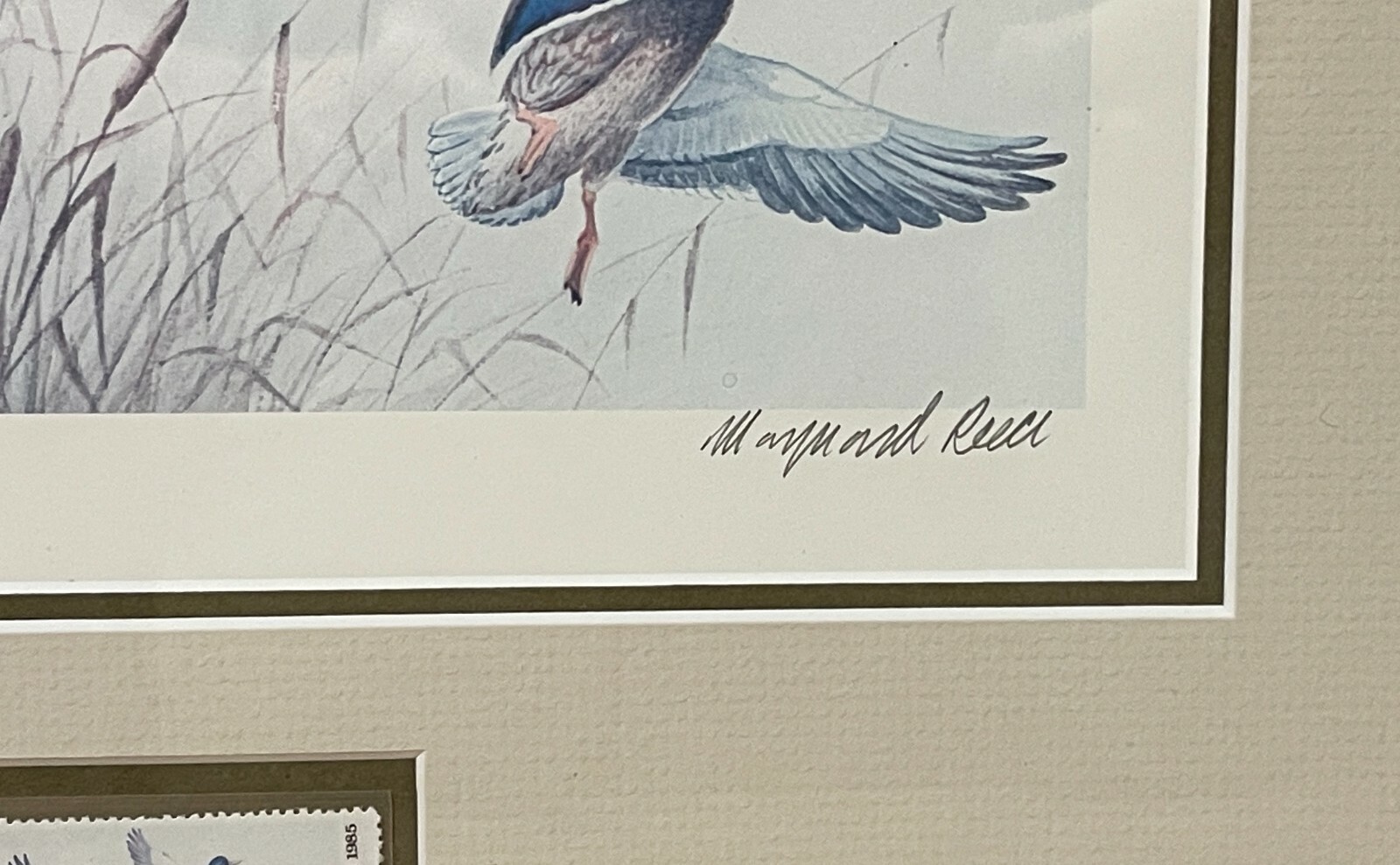 1985 Ducks Unlimited Duck Wildlife Conservation Print **MAYNARD REECE**