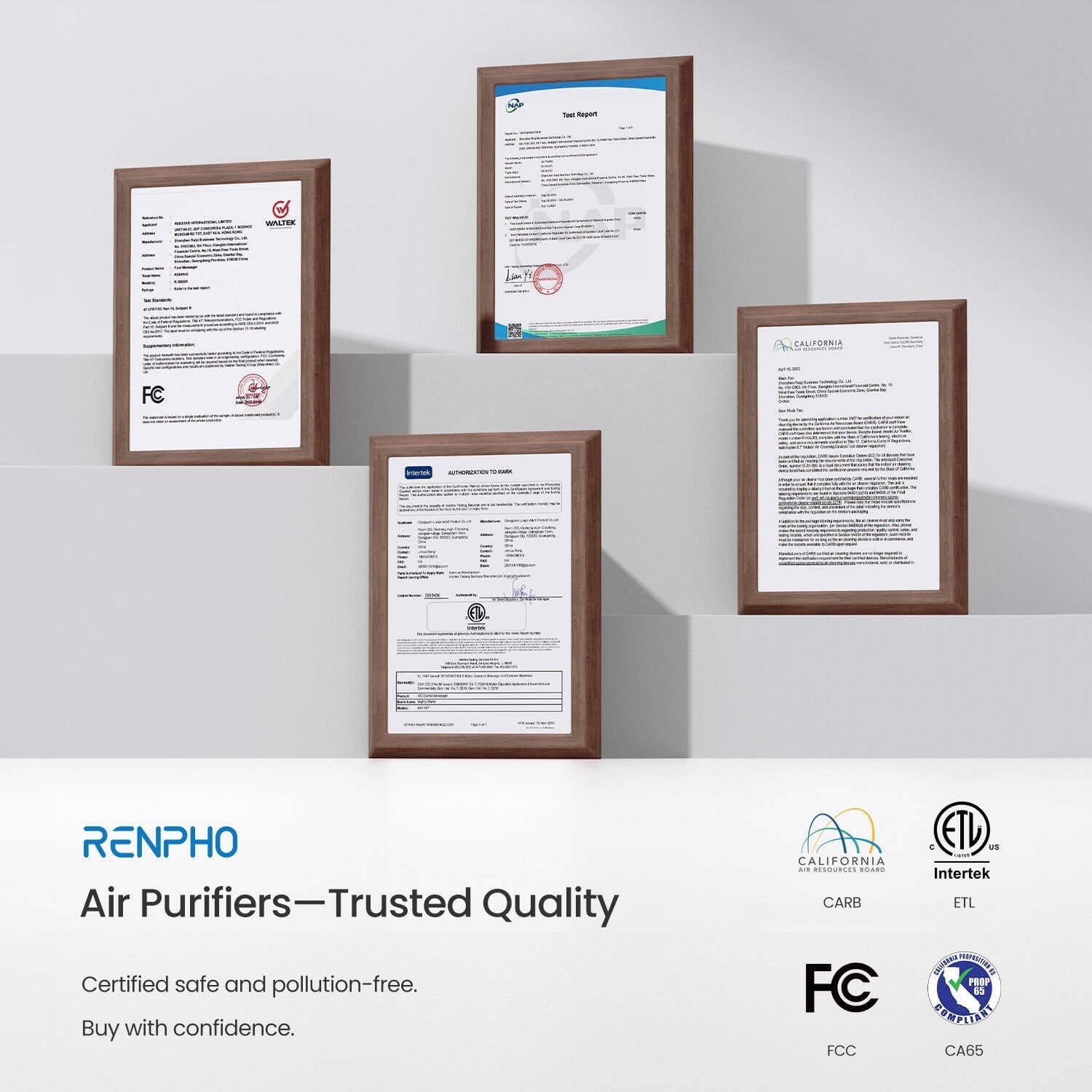 Home True HEPA Air Purifier Large Room Air Cleaner for Allergies Smoker Pet Dust