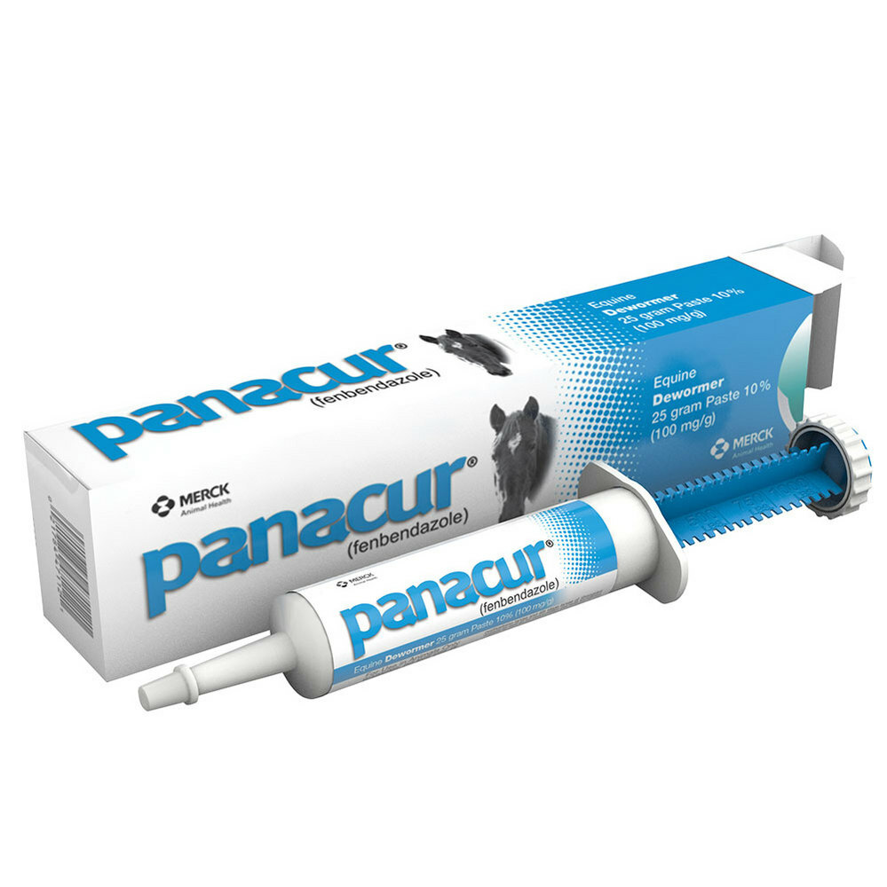 Panacur Equine Paste 10% Horse Wormer 25 grams
