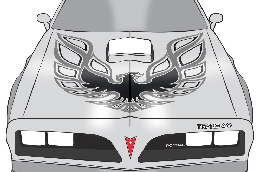 42" X 42" Firebird Hood Graphic Decal Sticker For Pontiac Trans Am Grey Black