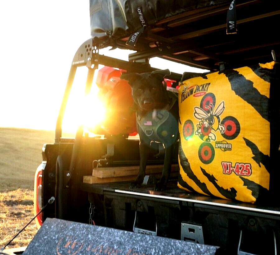 Morrell Yellow Jacket YJ-425 Archery Target Crossbow Compatible