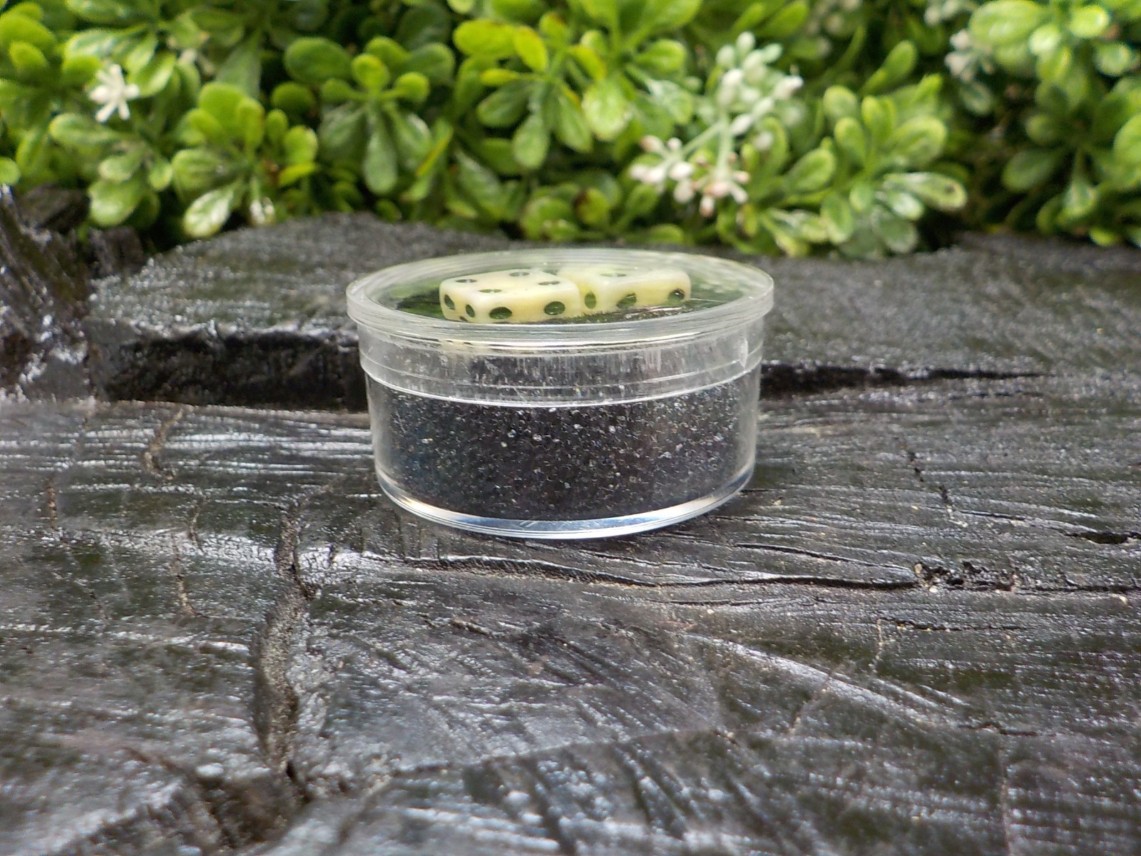 Old Rare Vintage Antique Civil War Relic Bone Dice Extremely Rare with Free Case