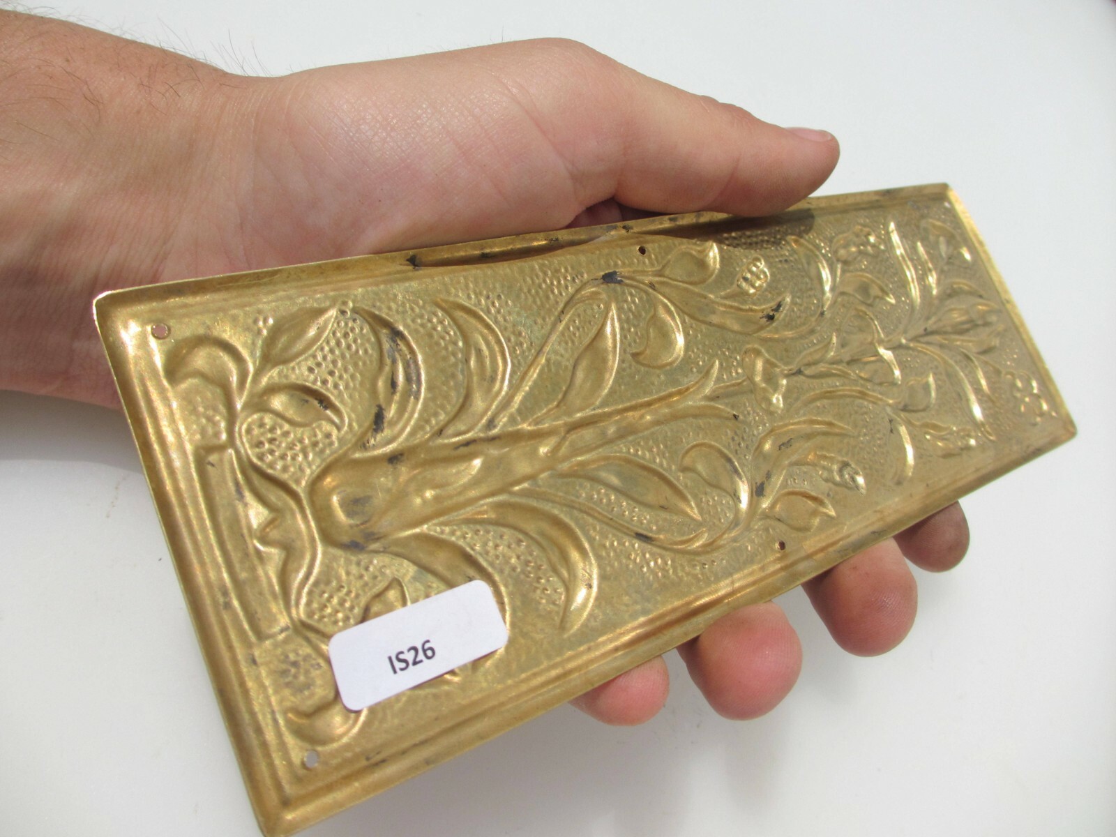 Brass Finger Plate Push Door Handle Art Nouveau Floral Flowers Antique STYLE