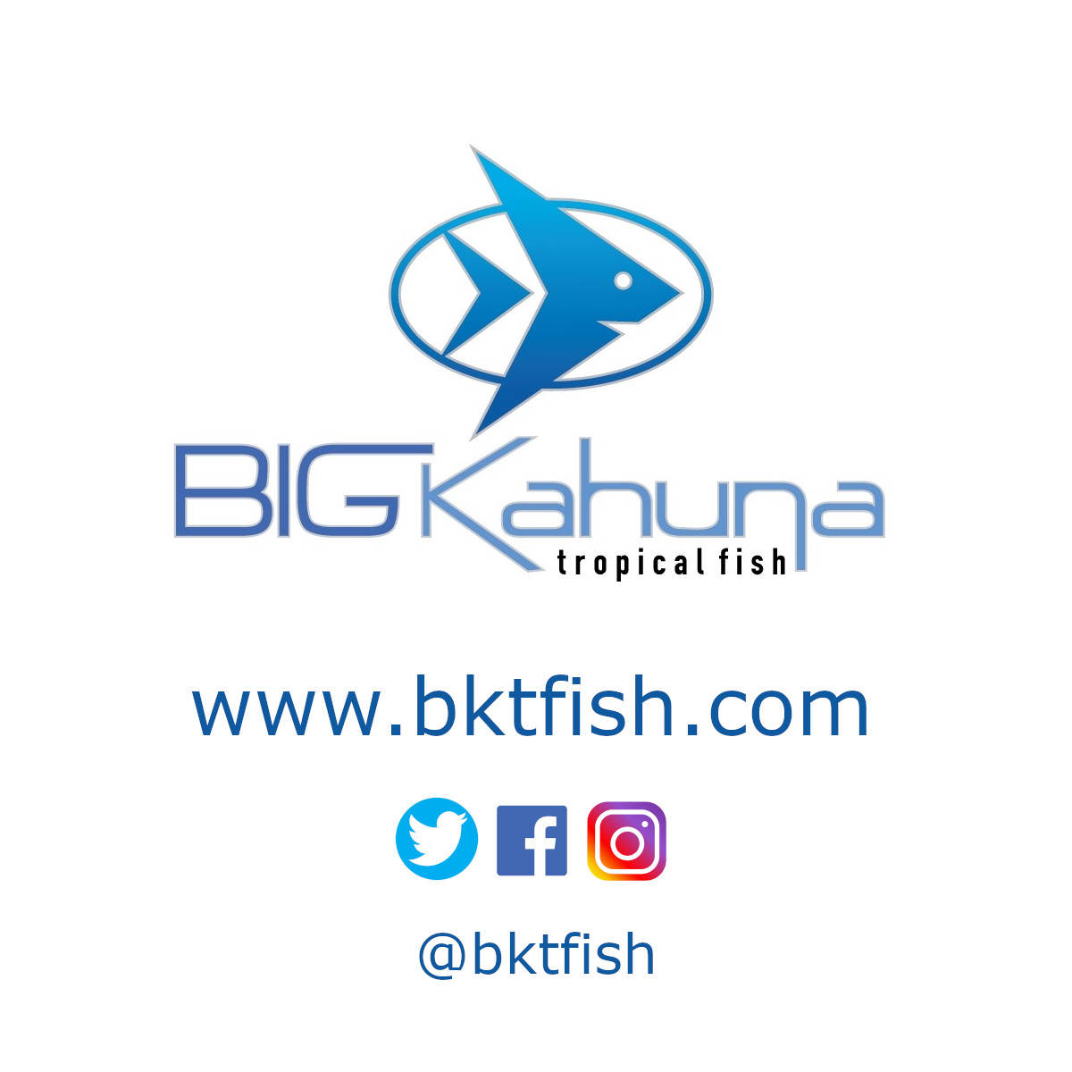 10-FT ROLL BLUE BONDED AQUARIUM FILTER MEDIA PAD 12" X 10' FILTER FIBER FLOSS.