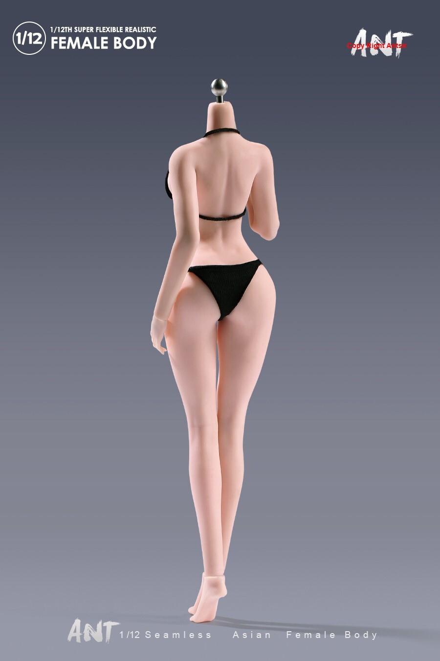 US ANT 1:12 Pale Large Breast Plump Hip Seamless Female Action Figure Body Doll