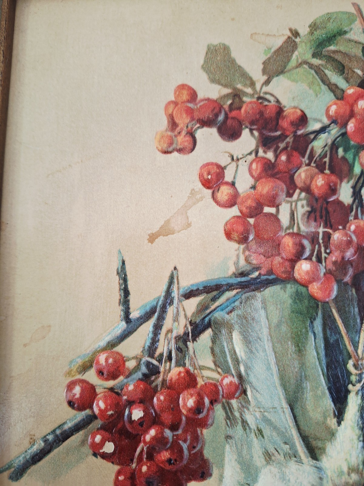 Game Birds Victorian Quail Cranberries Antique Embossed Chromolithograph