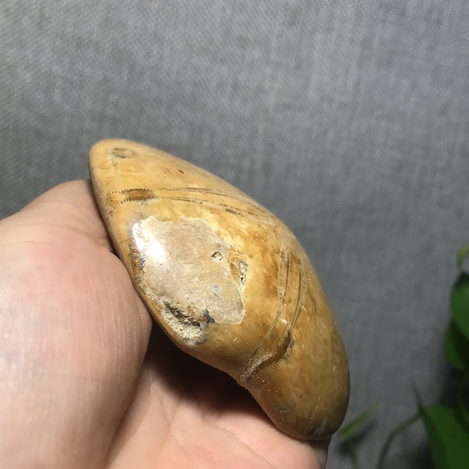 207g Starfish Crystal Specimen 16