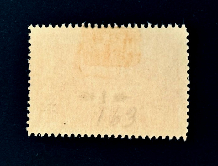 ALBANIA Stamp - 1924 Gjirokaster View Sn 163 Overprint MH r65