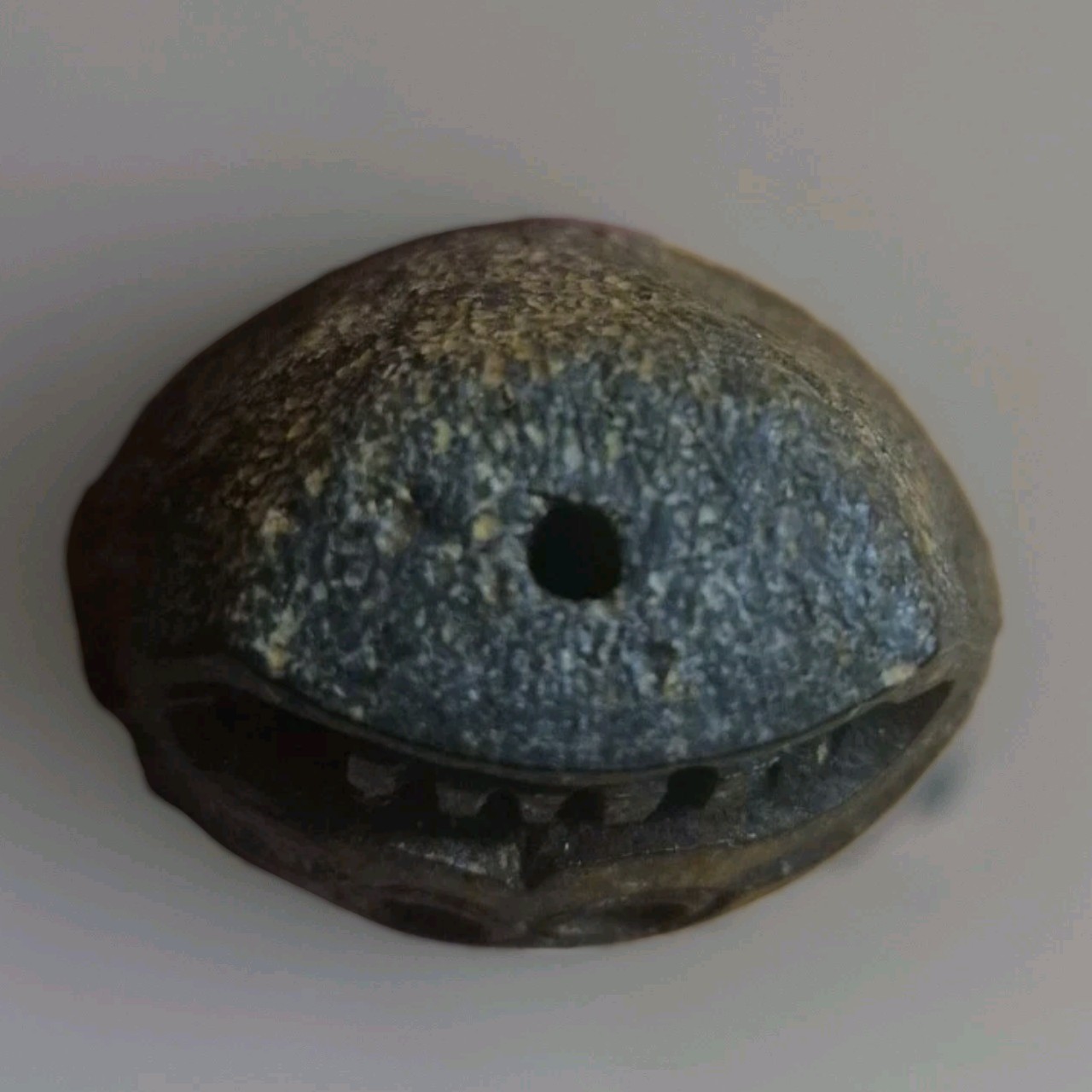 Rare Large Tibetan Kapala Citipati Bead - Relic