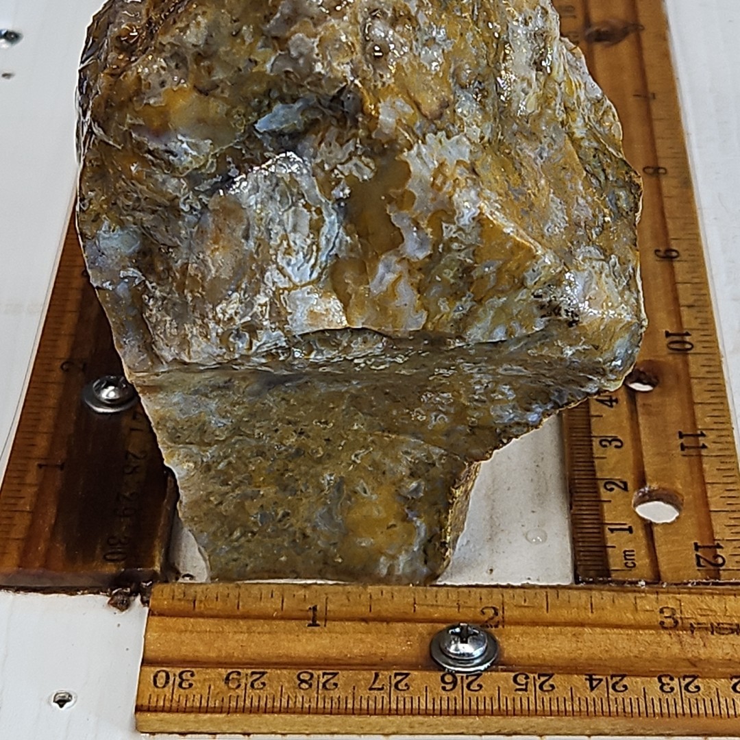 Royal blue agate rough. Spectacular blue colors, sharp banding 2LBS 4.7oz.