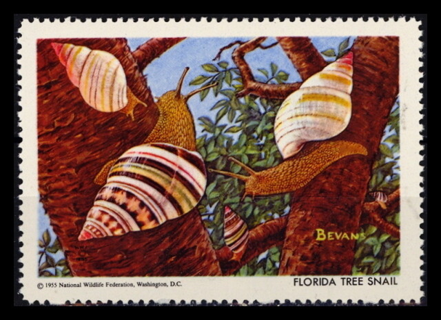 National Wildlife Federation Stamp - 1955 MNH - Florida Tree Snail