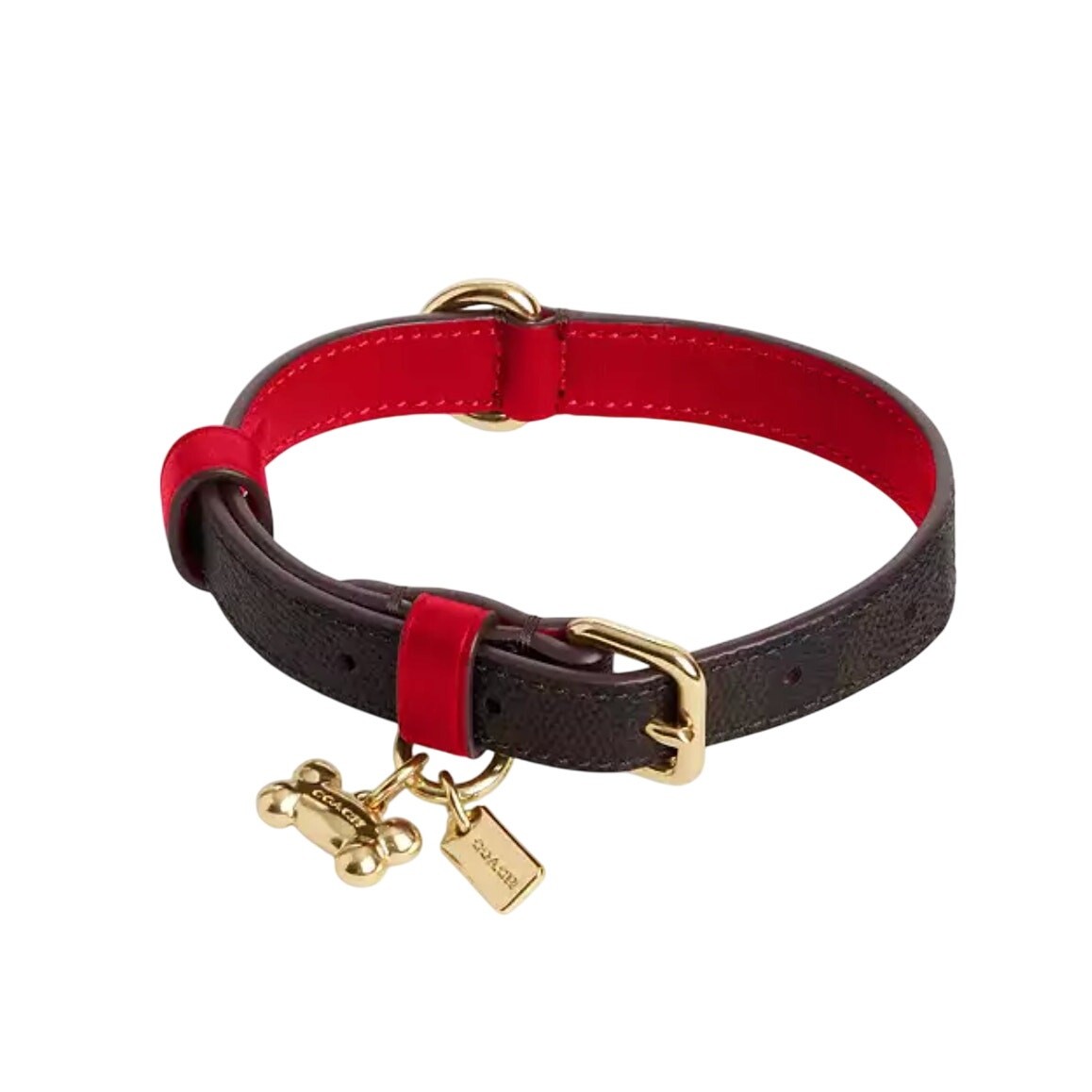 Coach Boxed Small Pet Collar In Signature Canvas new