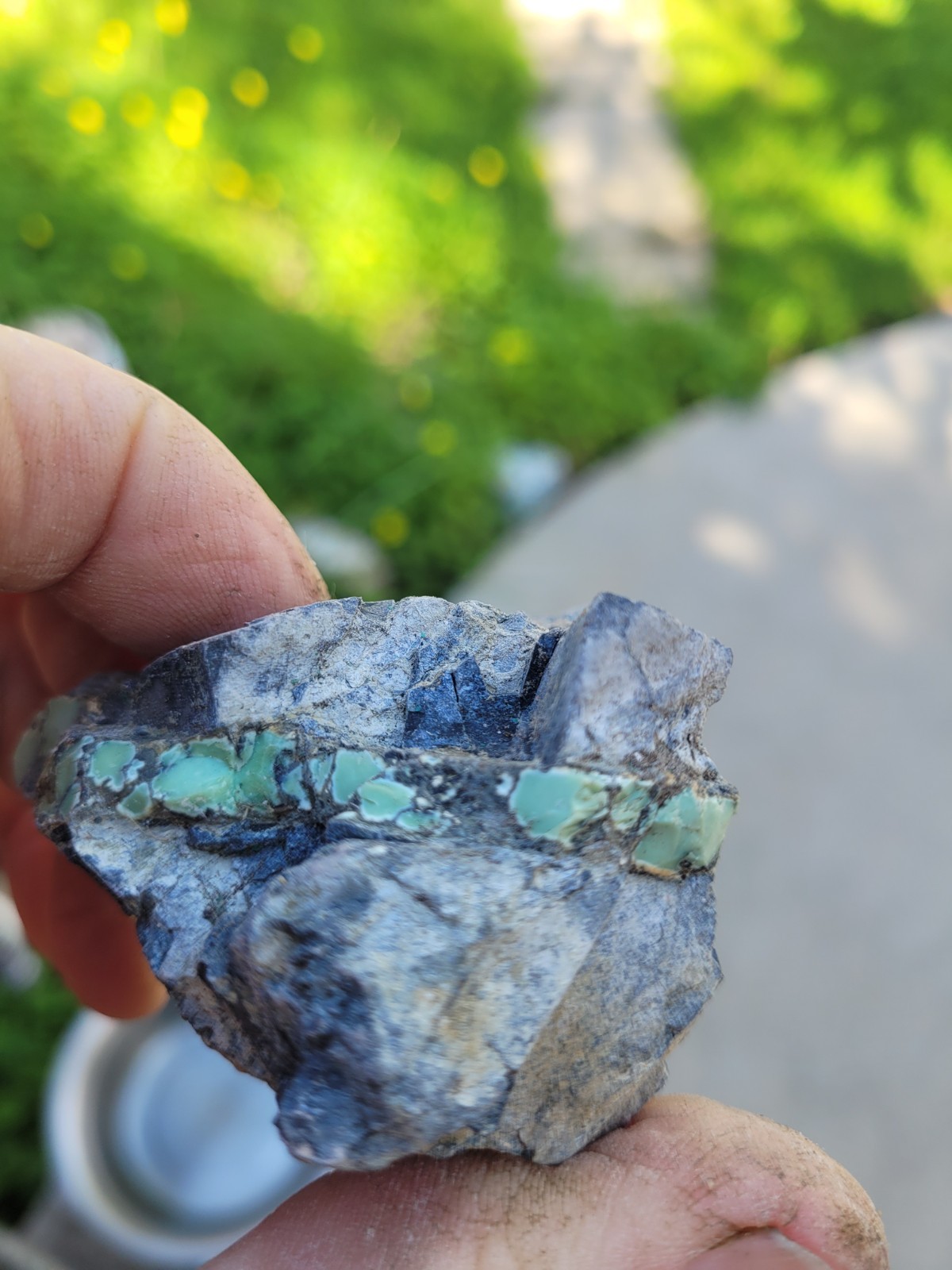 Nice Variscite Rough, Layer in Black Shale Matrix