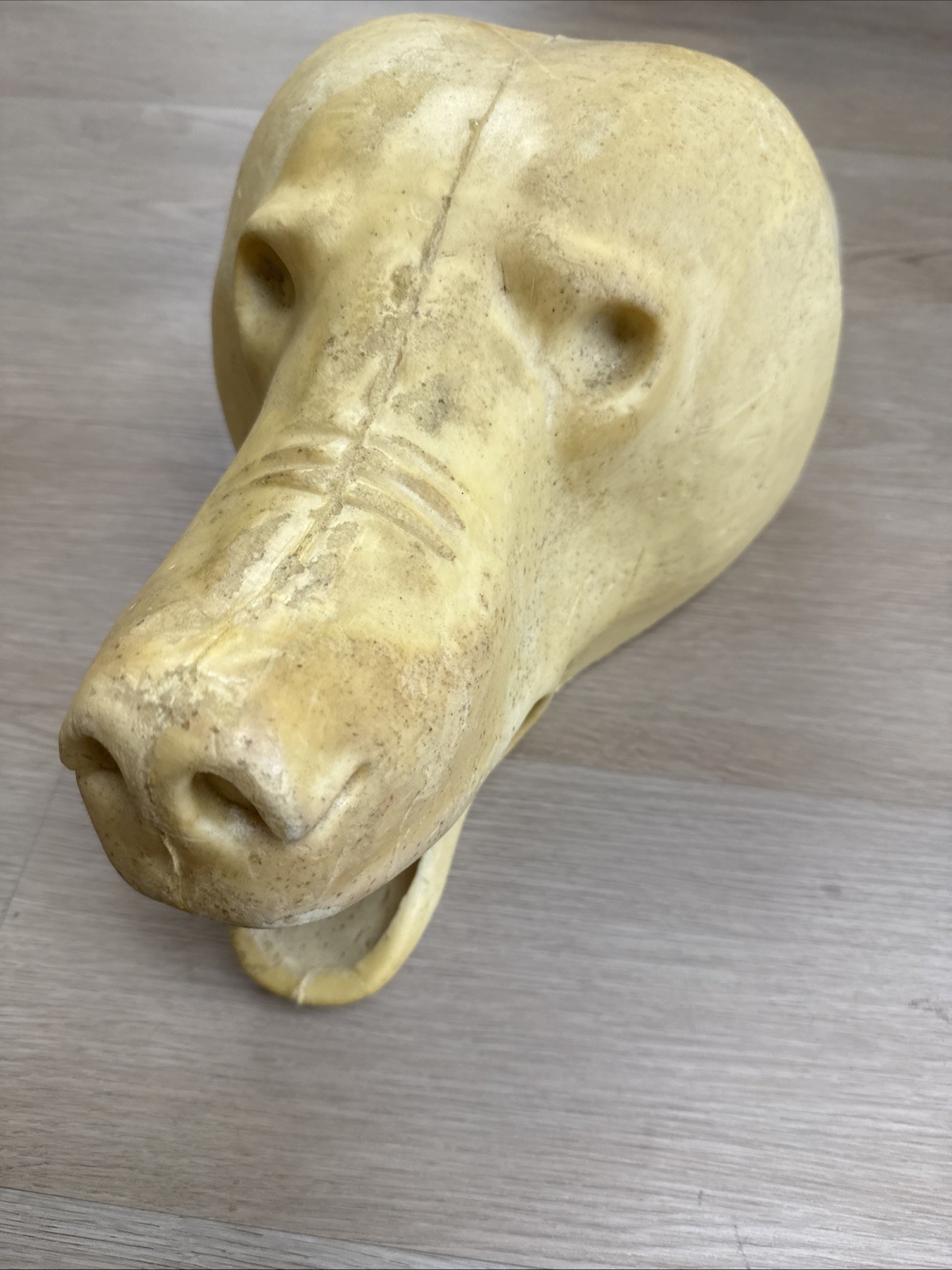 Van Dyke Large Bear Rug Shell Form Open Mouth 1992