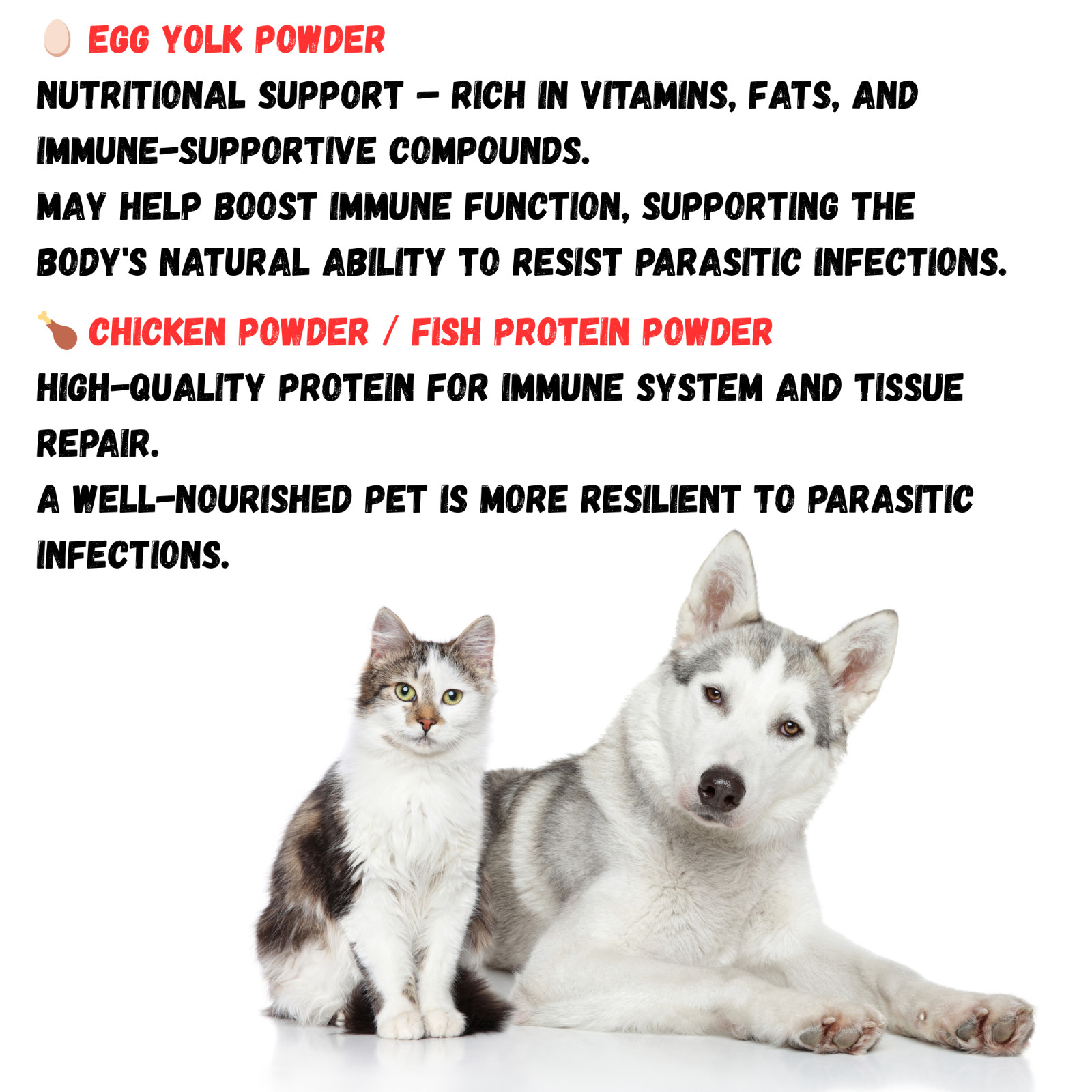 Dewormer for Dogs and Cats Natural De-Wormer Intestinal Cleanser Canine 90 Chews