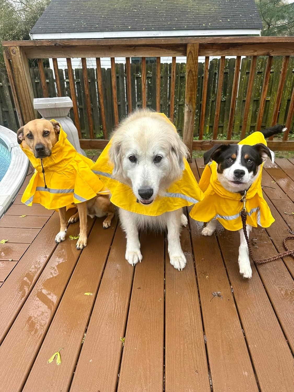 Dog Raincoat, Reflective Strip Hoodie, Poncho (A1-Yellow, 24B (Back Length 24")