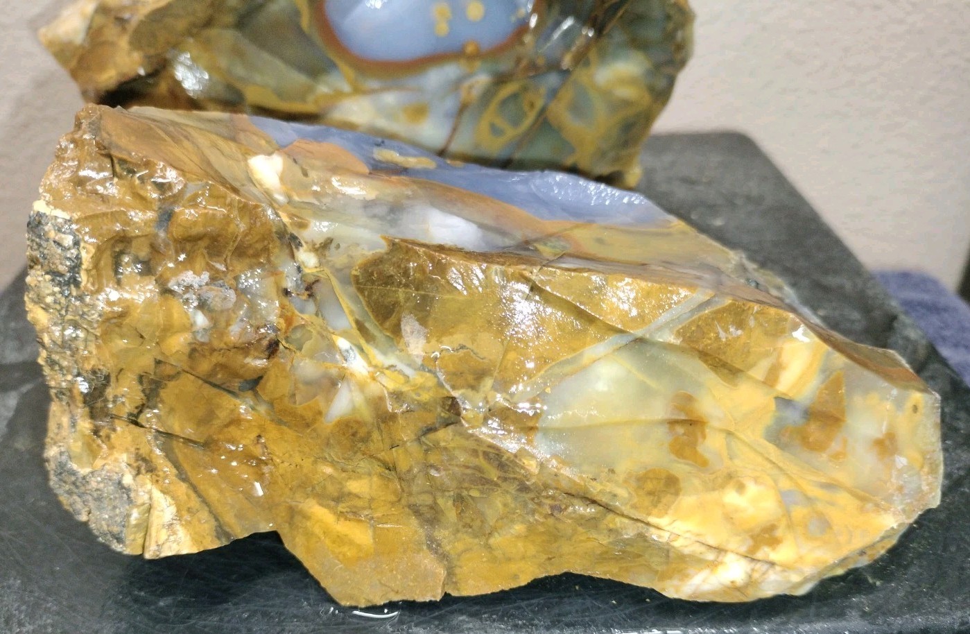 8.2LB 💙 Blue Ice Polka Dot Agate 2pc Rough Lot Ashwood, OR Cabochon Stock #24