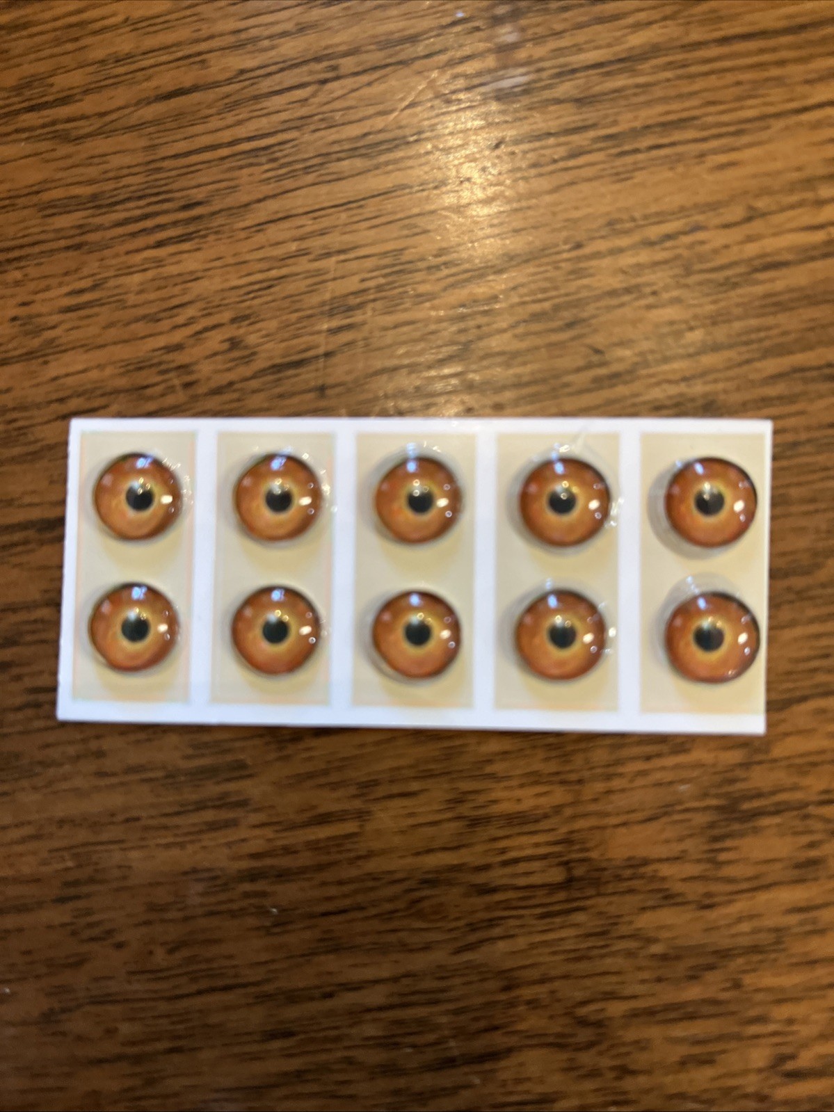 5 pair of New Concept Glass Eyes for Taxidermy and Decoy Making. Hazel