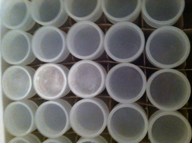 10 Each New Coin Tubes- Quarter. Dime. Nickel. Half dollar, 40 Coin Tubes