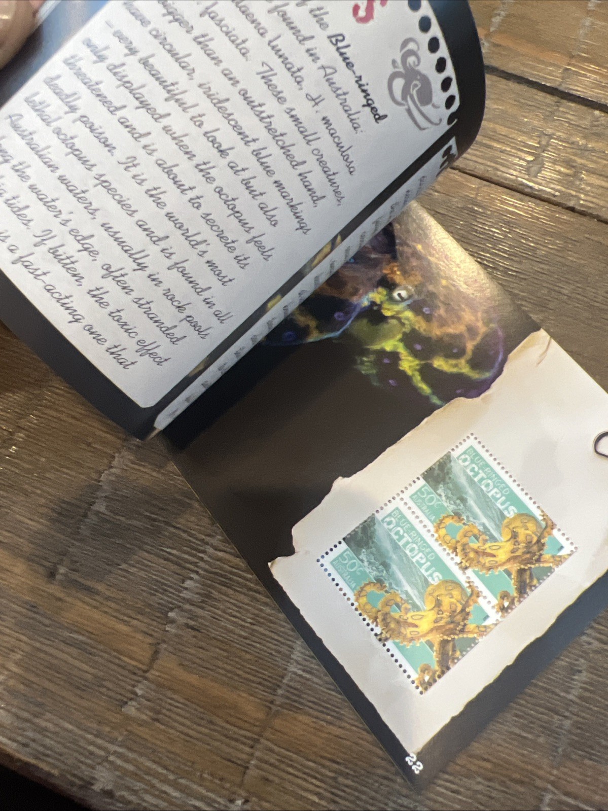 Lot Of 6: Australia Prestige: Dogs, Dangerous Aussies, Wallabies, Birds, Etc.