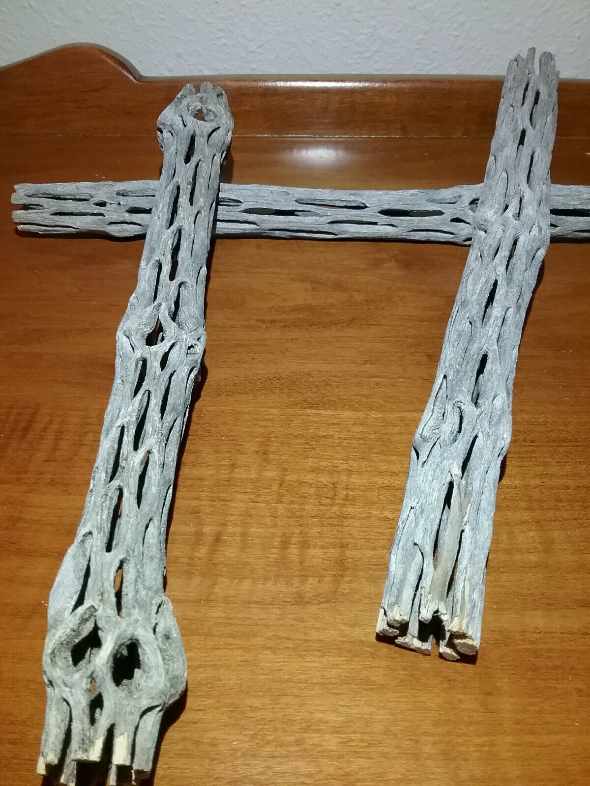 3 pieces of 10" inch Cholla Wood | Organic Cactus | Aquarium Decor | Chinchilla