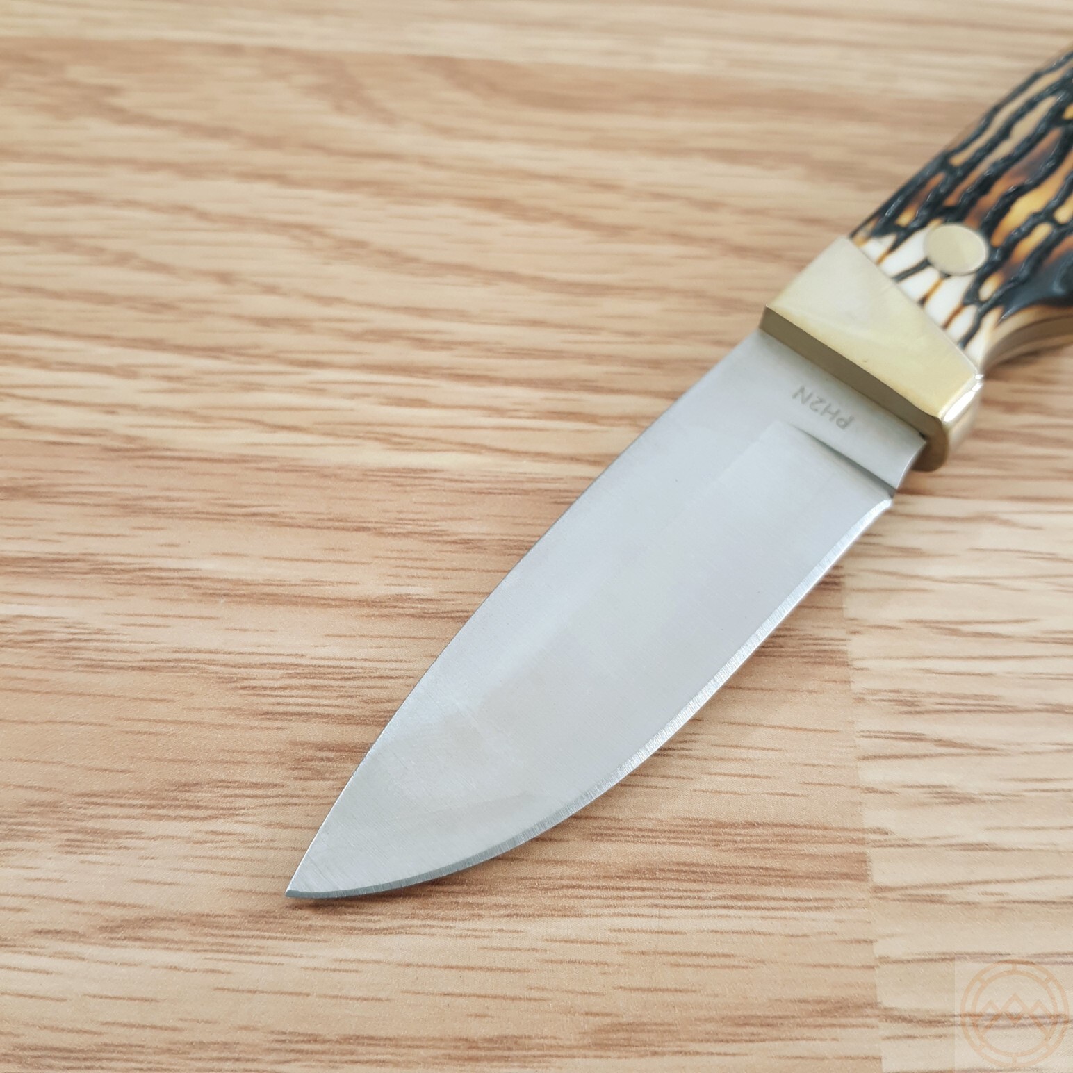 Schrade Hunter Fixed Knife 2.75" 7Cr17MoV Steel Full Tang Blade Staglon Handle