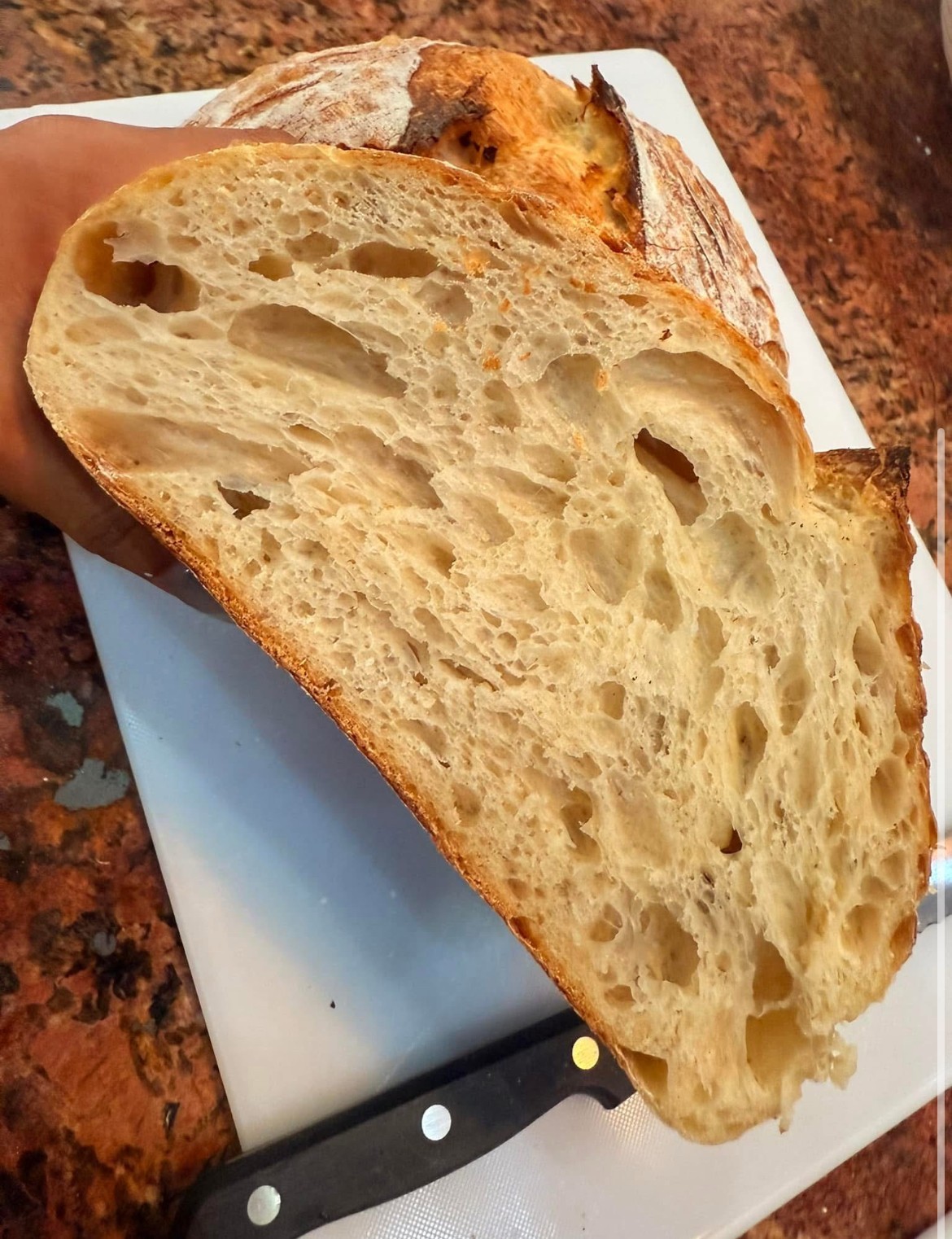 1000 year old ITALY Sourdough Starter - Camaldoli Monastery | Organic Dehydrated