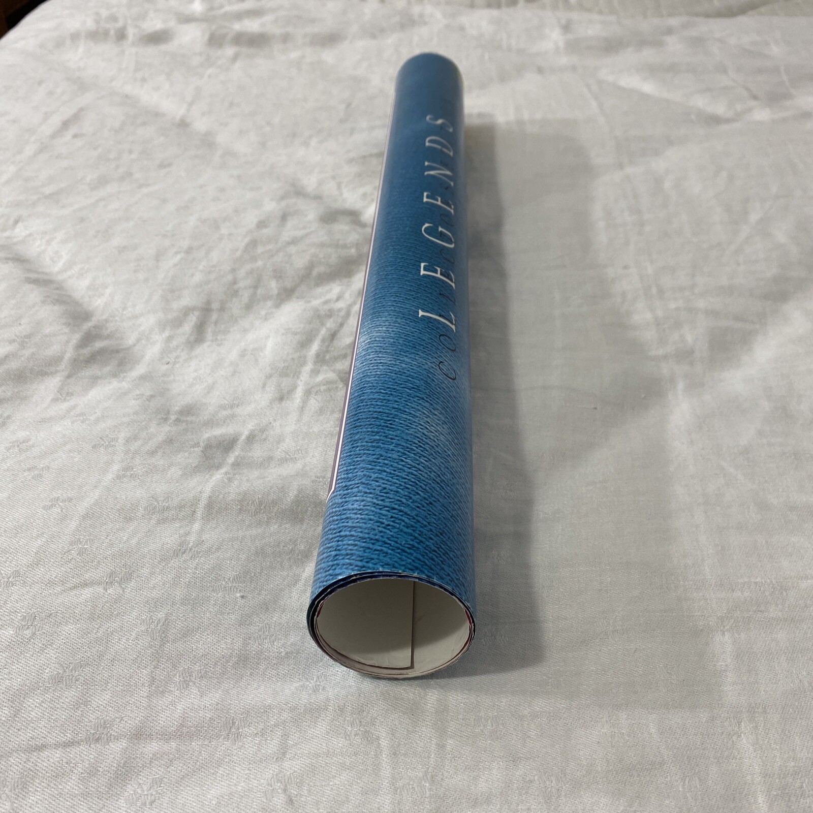 Vintage Janis Joplin Rock Legend Poster Sony 1995 Collectible