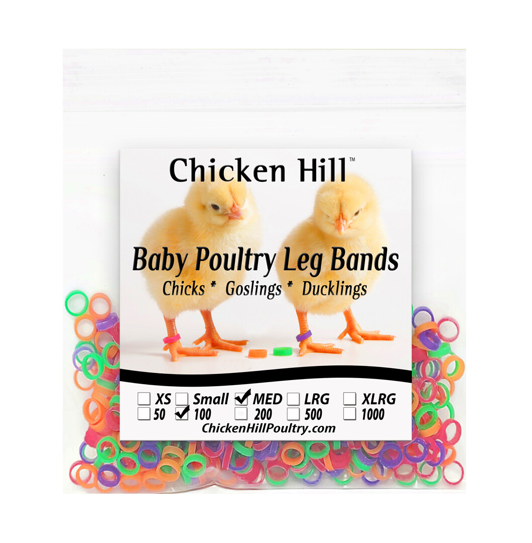 100-500 Baby Poultry Leg Bands ~ Solid or mixed Colors ~ Size 2-6 Day Old Chicks