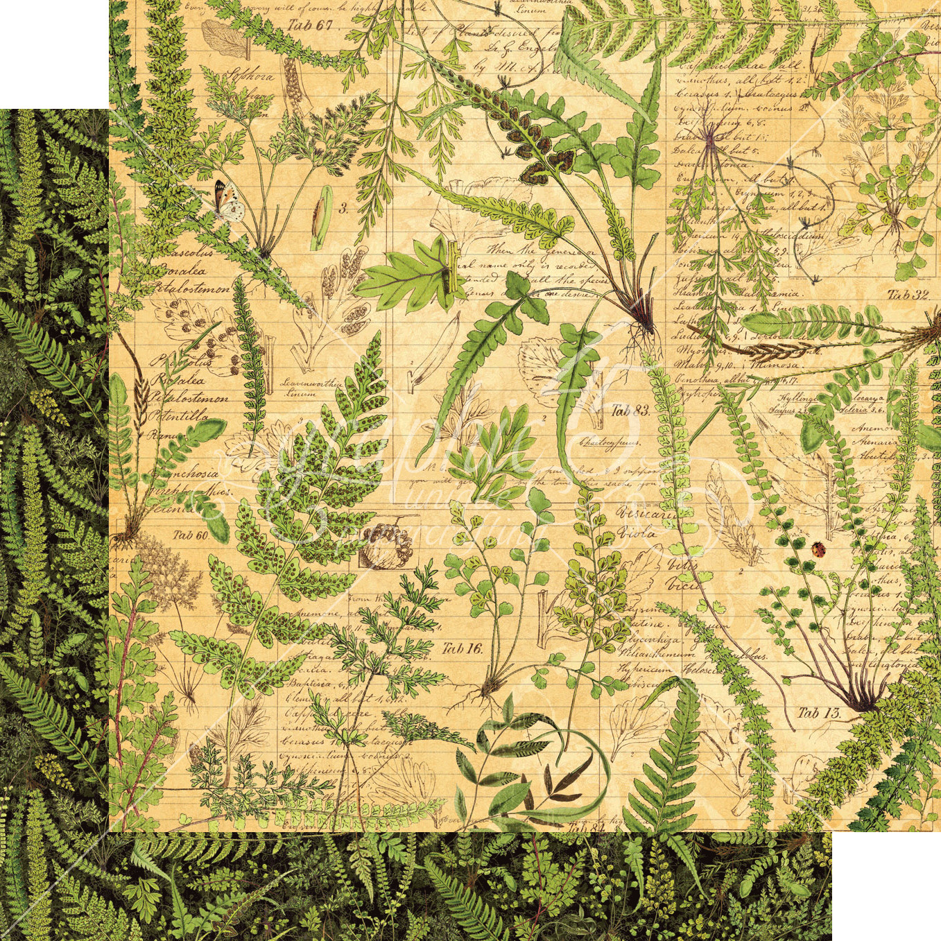 GRAPHIC 45 NATURE NOTEBOOK RETIRED 2020 ~NATURE BOTANICAL BUTTERFLY *SHIPS FREE*