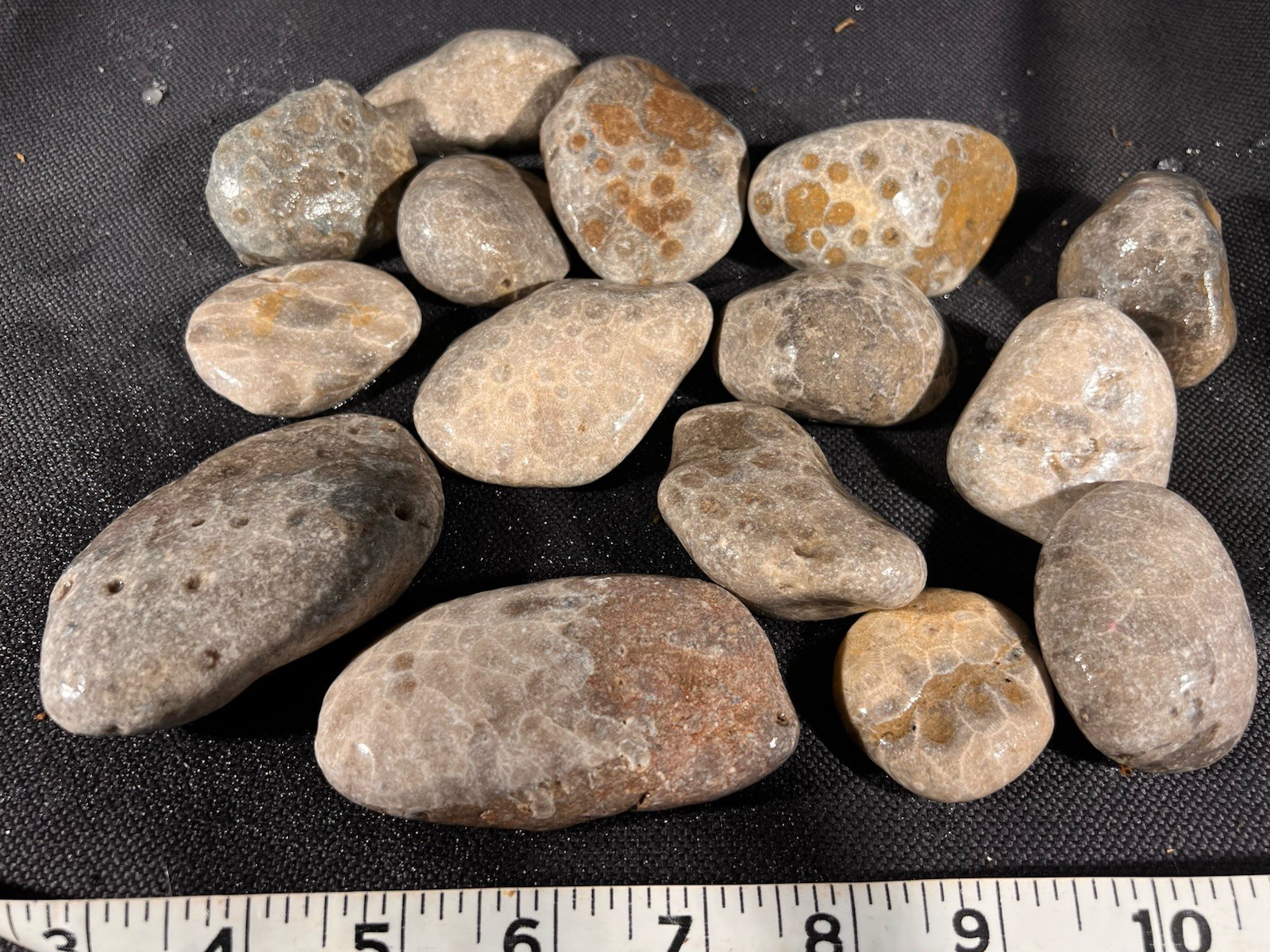 Parsley Stone Rough 3 lb 13 oz 15 in lot Michigan, good hexagonal patterns