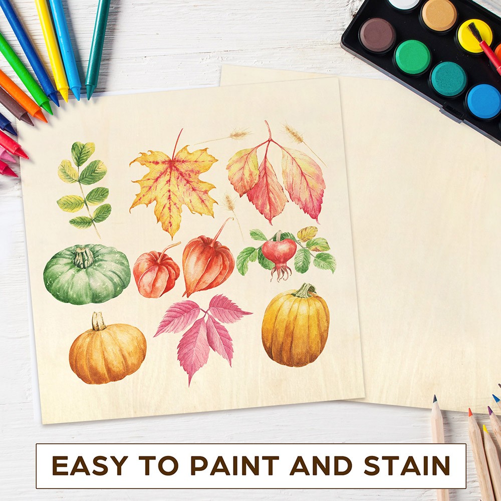 12 Pack Basswood Sheets for Craft 12 X 12 X 1/8 Inch 3mm Thick Plywood Sheets