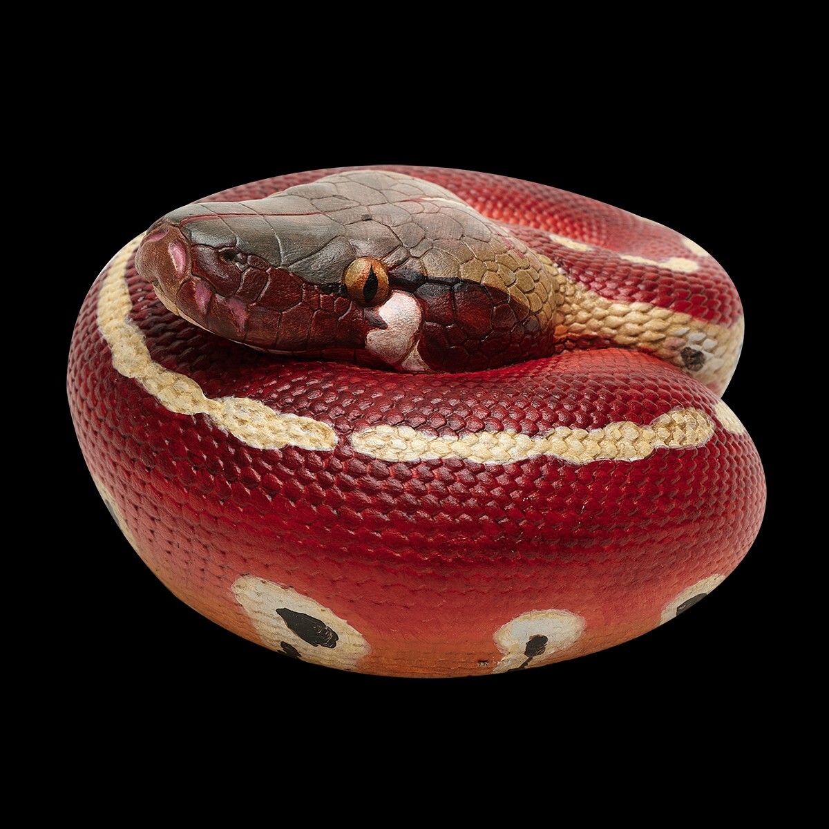 【In-Stock】 Animal Heavenly Body Blood Python brongersmai Snake Statue