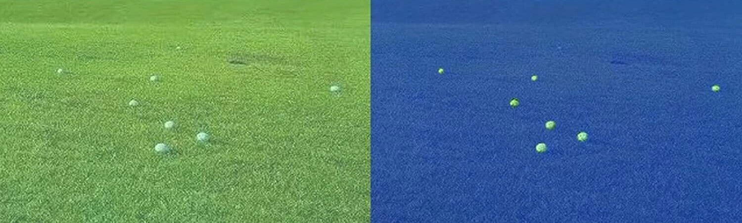 NEW Mushroom Finding & Antler Shed Hunting Blue Hunting Finder Glasses