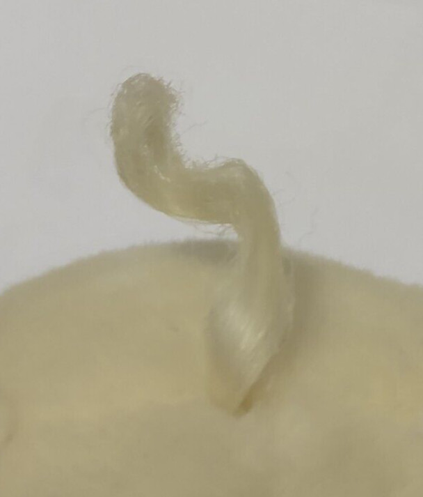 Care Bears Hugging Funshine Plush Clapping Stuffed Animal 12"