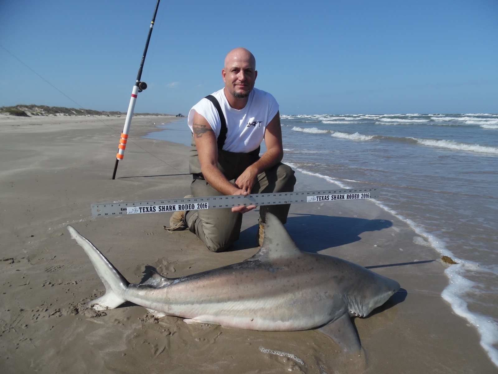 The Shark Rig -6 ft Castable Shark Fishing Leader -16/0 Circle Hook Surf Fishing