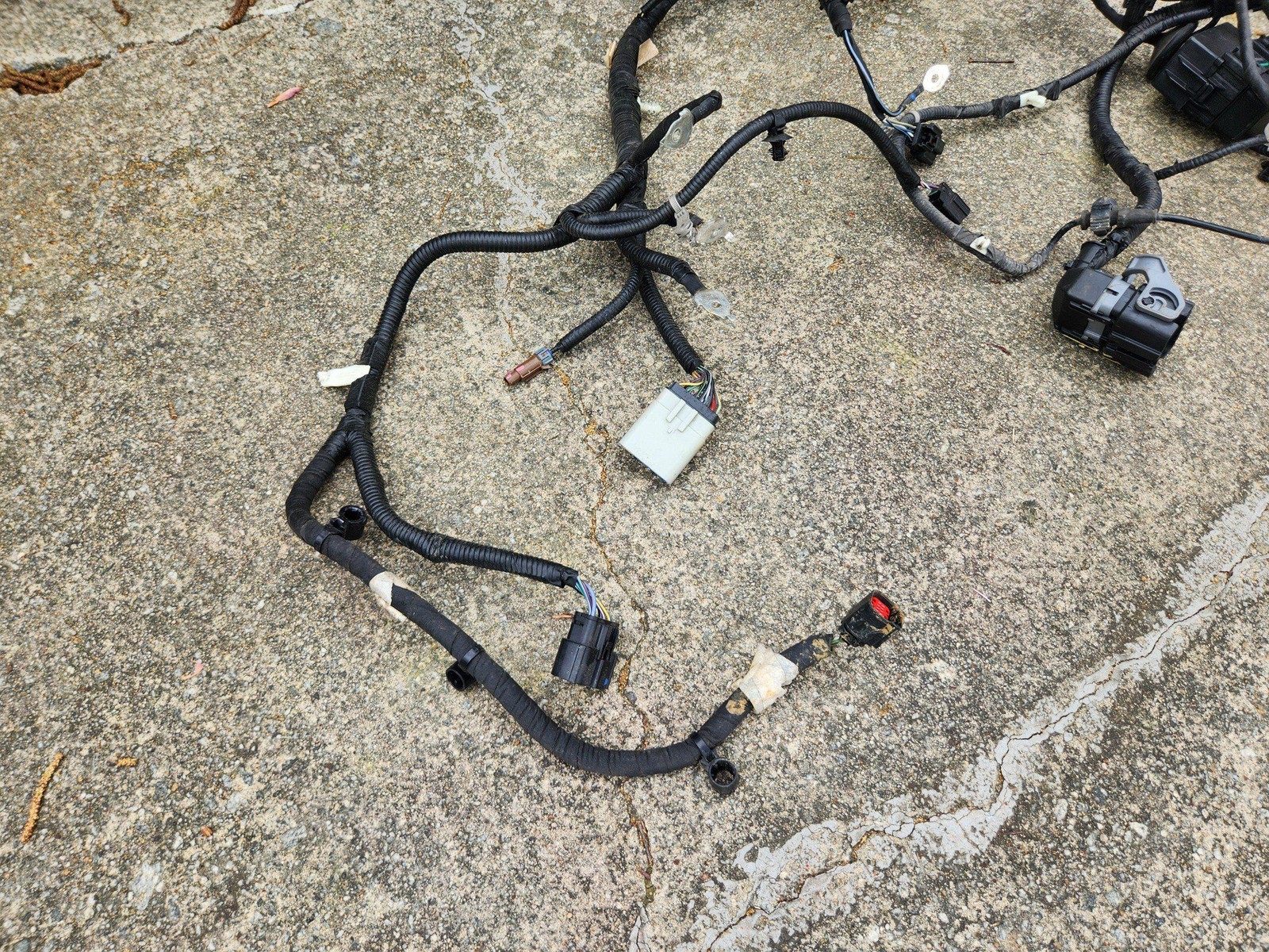 2021 - 2023 FORD MUSTANG MACH-E AWD ENGINE WIRING HARNESS OEM