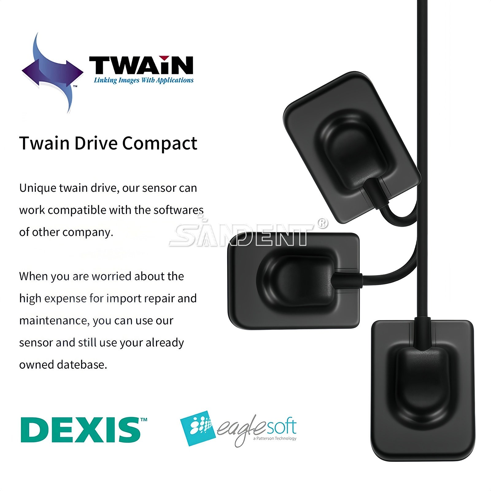 Dental ray X Image System Digital Rayos Sensor Fit TWAIN Drive + Holder 1/1.5/2