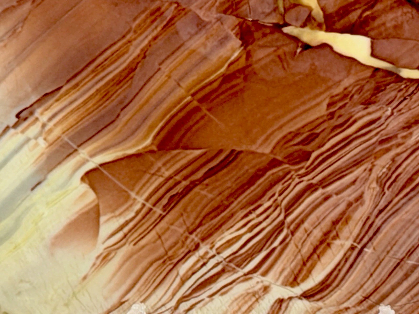 Beautiful Willow Creek Jasper Slab Set, Lot#191