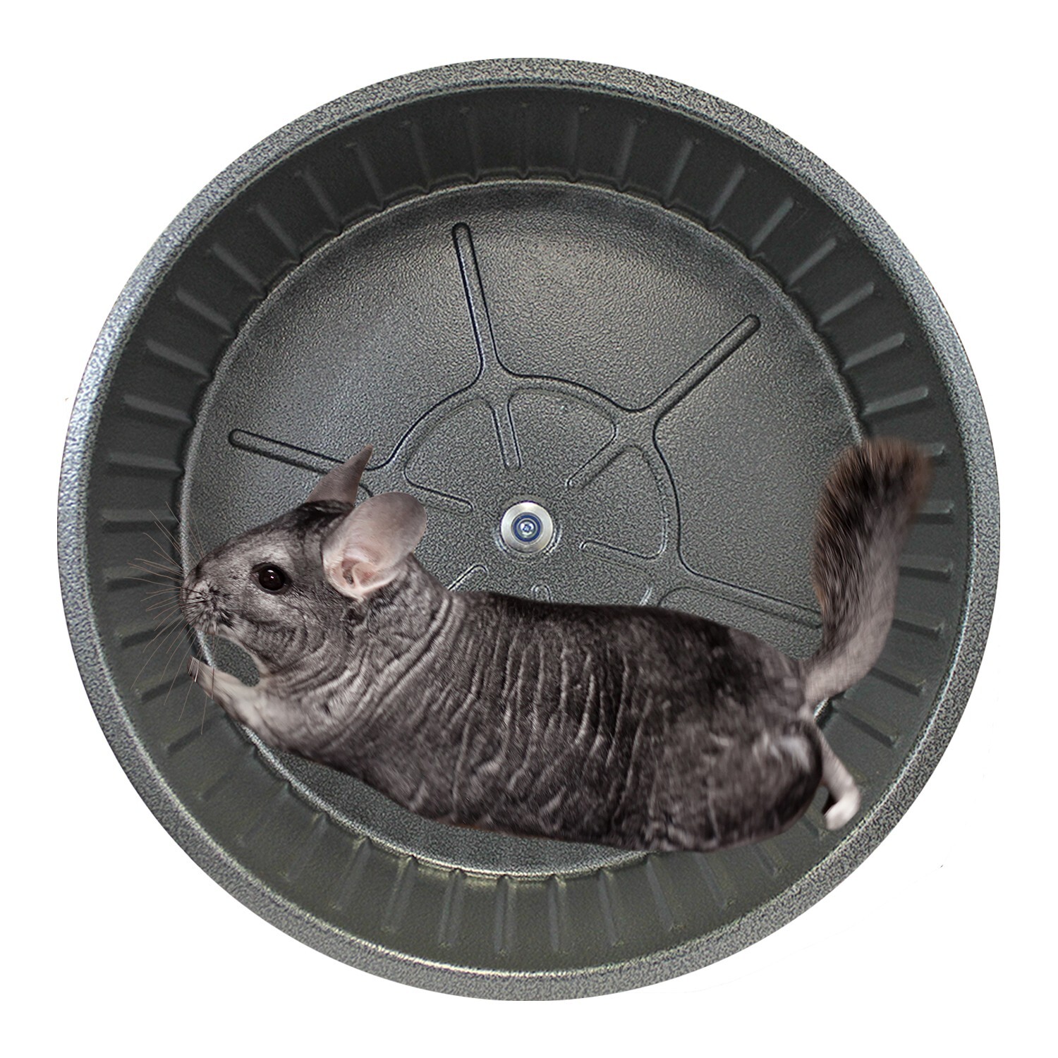 CHIN-SPRINT WHEEL 15" BLACK- Chinchillas, Prairie Dogs, Rats