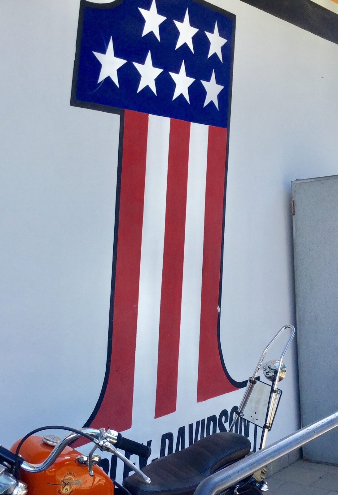 Harley Chrome Inner Primary Ultra Glide Road King Touring 00 - 06 part #60677-01