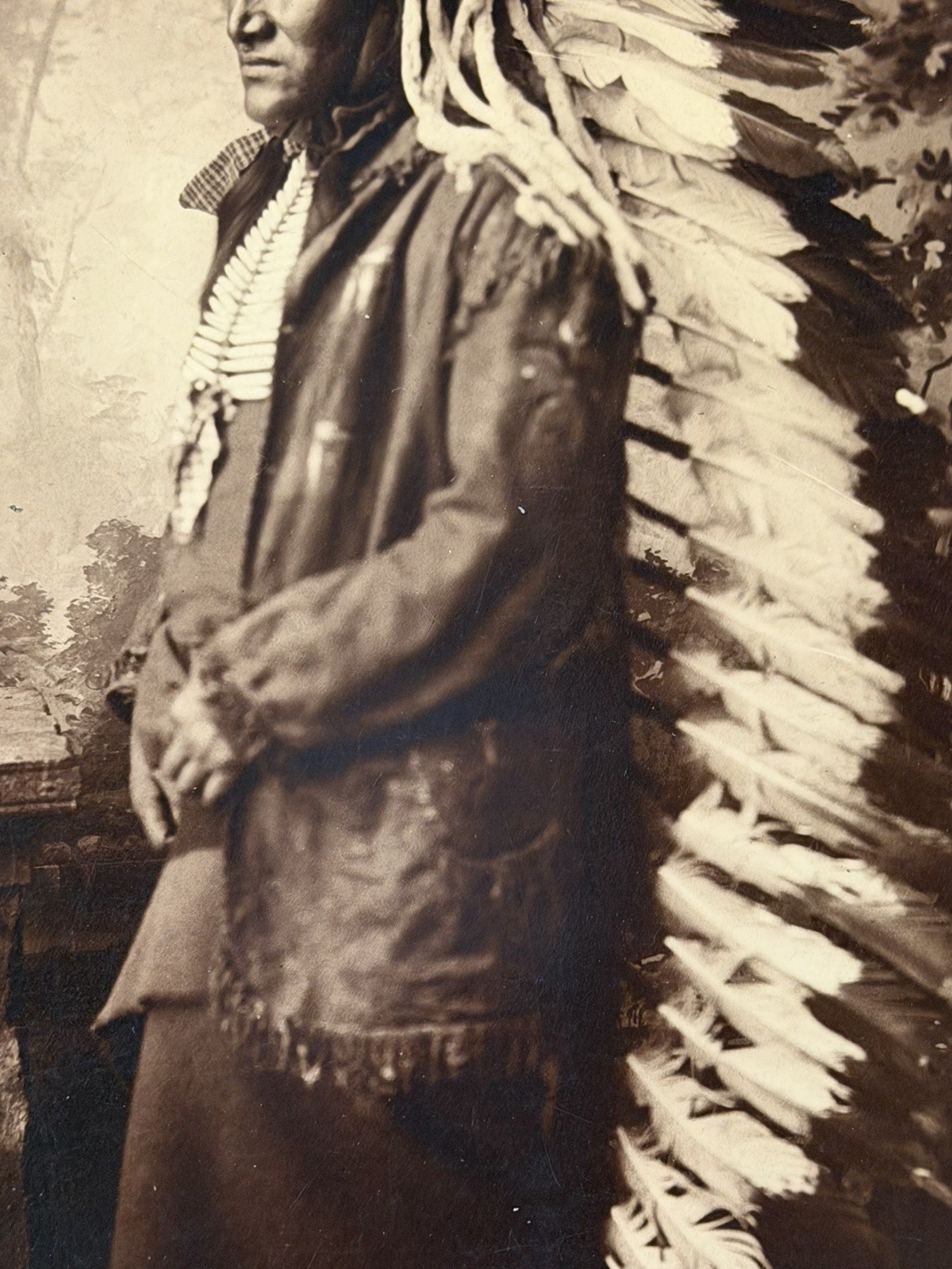 Antique Native American Indian Albumen Print "Chief John Grass" By: D. F. Barry