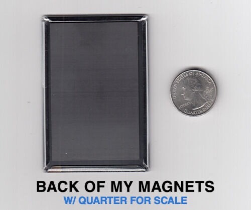 THE X-FILES GILLIAN ANDERSON / ROLLING STONE 2"x3" POSTER MAGNET (retro magazine