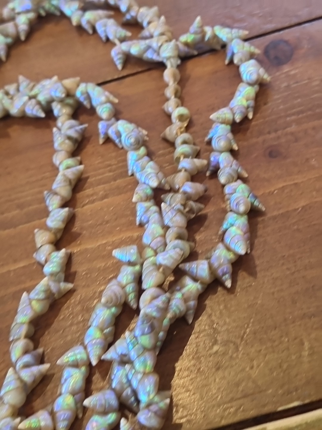 SUPERB VINTAGE TASMANIAN ABORIGINAL MAIREENER SHELL NECKLACE LONG 123cms 1930s