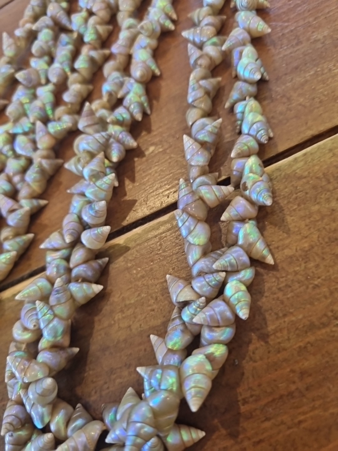 SUPERB VINTAGE TASMANIAN ABORIGINAL MAIREENER SHELL NECKLACE LONG 123cms 1930s